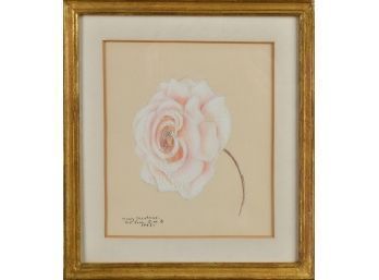 Signed Pastel Floral On Paper (CTF10)