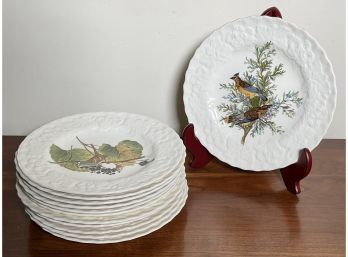 Set Of 12 Audubon Bird Plates, Alfred Meakin (CTF20)