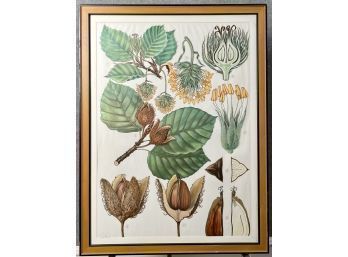 Pertlwieser Botanical Print (CTF20)