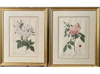 Two P.J. Redoute Langlois Botanical Engravings (CTF10)