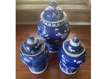 *UPDATED**19th C. Chinese Porcelain Hawthorn Jars (CTF10)