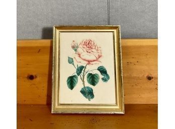 19th C. Theorem Watercolor, Rose (CTF10)