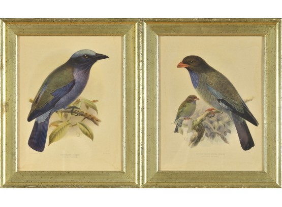 Two Keulemans Bird Prints (CTF10)