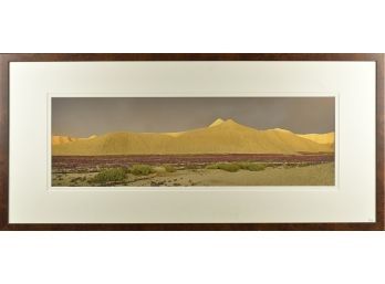 Large Will Connor Photograph, Bentonite Hills Utah (CTF10)