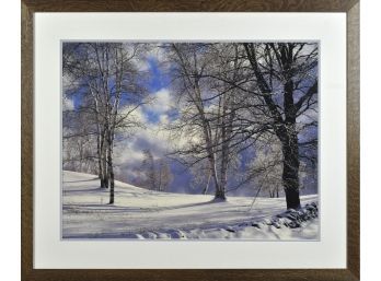 Merlin Lacy Photograph, Winter Scene (CTF30)