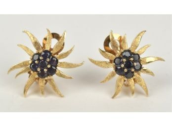 Pair Of 14k Gold And Sapphire Earrings (CTF10)