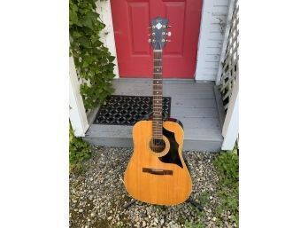 Hofner Acoustic Flattop Guitar With Case (CTF20)