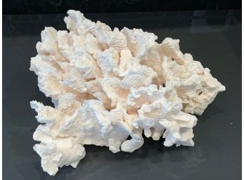 White Coral (CTF20)