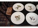 Vintage Meakin Birds Of America Plates, 16 (CTF20)