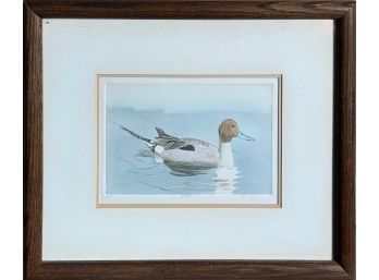 Contemporary Hand Colored Etching Of Duck (CTF10)