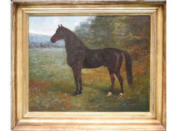 **Update** Thomas Beaumont Oil On Canvas, Horse Portrait (CTF20)