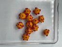 Vintage Italian Lampwork Beads, Polka Dot Orange Glass Beads, Beads Lot, Snowhill Auctions, 120 Lots, Closes 2
