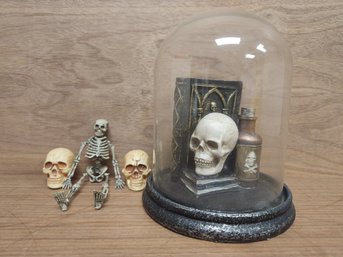 Glass Display Skeleton Skulls Vial Of Poison Necronomicon Book Of The Dead
