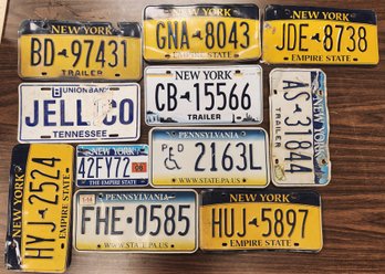 Lot Of 11 Assorted United States License Plates New York Pennsylvania Tennessee