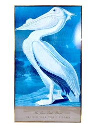 New York Public Library Framed Poster John James Audobon American White Pelican 24.5'x42.5'