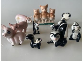 Miniature Skunks & Pigs