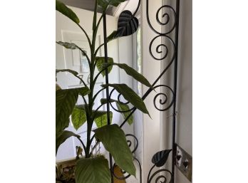 Wrought Iron Room Divider/plant Stand