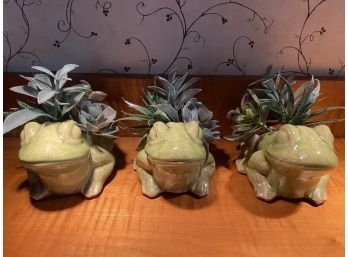 Trio Of Planter Frogs