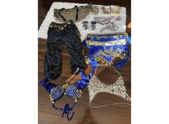 Harem Girl Costume & Jewelry / Accessories