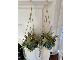 Two Hanging Plants (Fake)