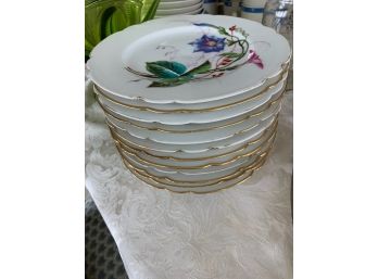 Floral Plates. Set Of 12