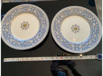 Two Blue Plates