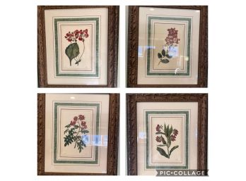 Set Of 4 Red Botanic Prints