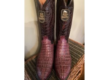 Genuine Caiman Boots New - Dan Post