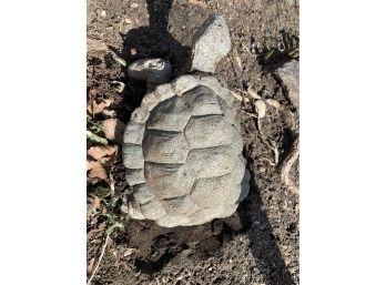 Cement Garden Turtle