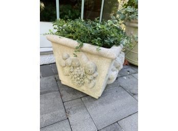 Large Square Cement Planter And Plant