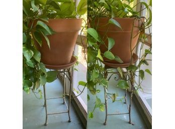 Pair Of Plants And Stands