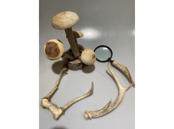 Antlers, Wood Mushrooms, Magnifier