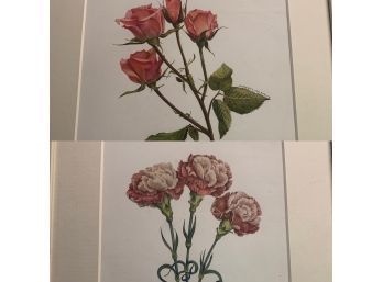Original Art By Jeannetta Van Raalte. Four Pink Roses And Carnations (2)