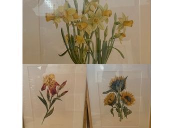 Original Art By Jeannetta Van Raalte. Sunflowers, Irises, Daffodils (3)