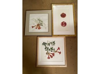 Pomegranate & Red Floral Watercolors Jeannetta Van Raalte