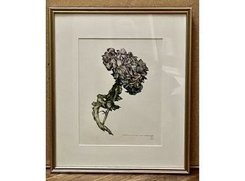 Dry Hydrangea. 17 H X 15. Watercolor By Jeannetta Van Raalte