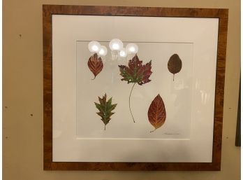 Fall Leaves By Toshi Shibusawa