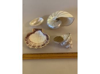 Assorted Painted Shells