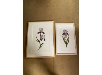 Iris Purple Floral Watercolors Jeannetta Van Raalte