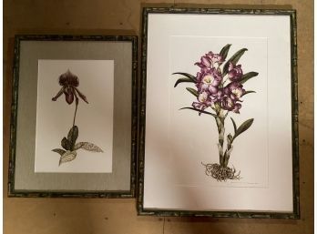 Purple Floral Watercolors Jeannetta Van Raalte