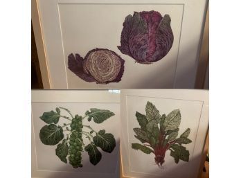 Original Art By Jeannetta Van Raalte  Red Cabbage, Brussel Sprouts, Swiss Chard
