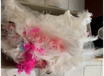 Lot Of Ostrich Feathers