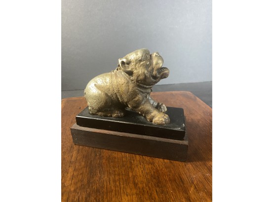 Bronze Bull Dog