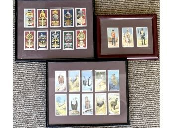 Set Of Framed Collectible Gallaher Cigarette Trading Cards