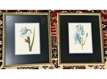 Pair Of Framed Langliois Iris Floral Prints