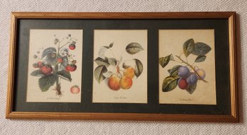 Fruit Still Life Triptych