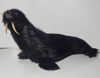 Stuffed Toy Seal