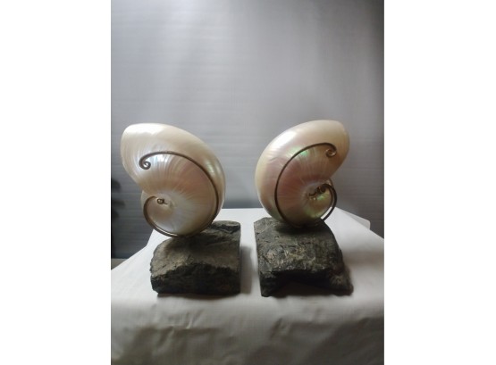 Pair Of Nautilus Shell And Petrified Wood Bookends