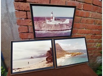 3 Framed Photographs