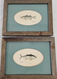 Pair Of Signed 1966, Douglas Allen Fish Art In Rustic Frames